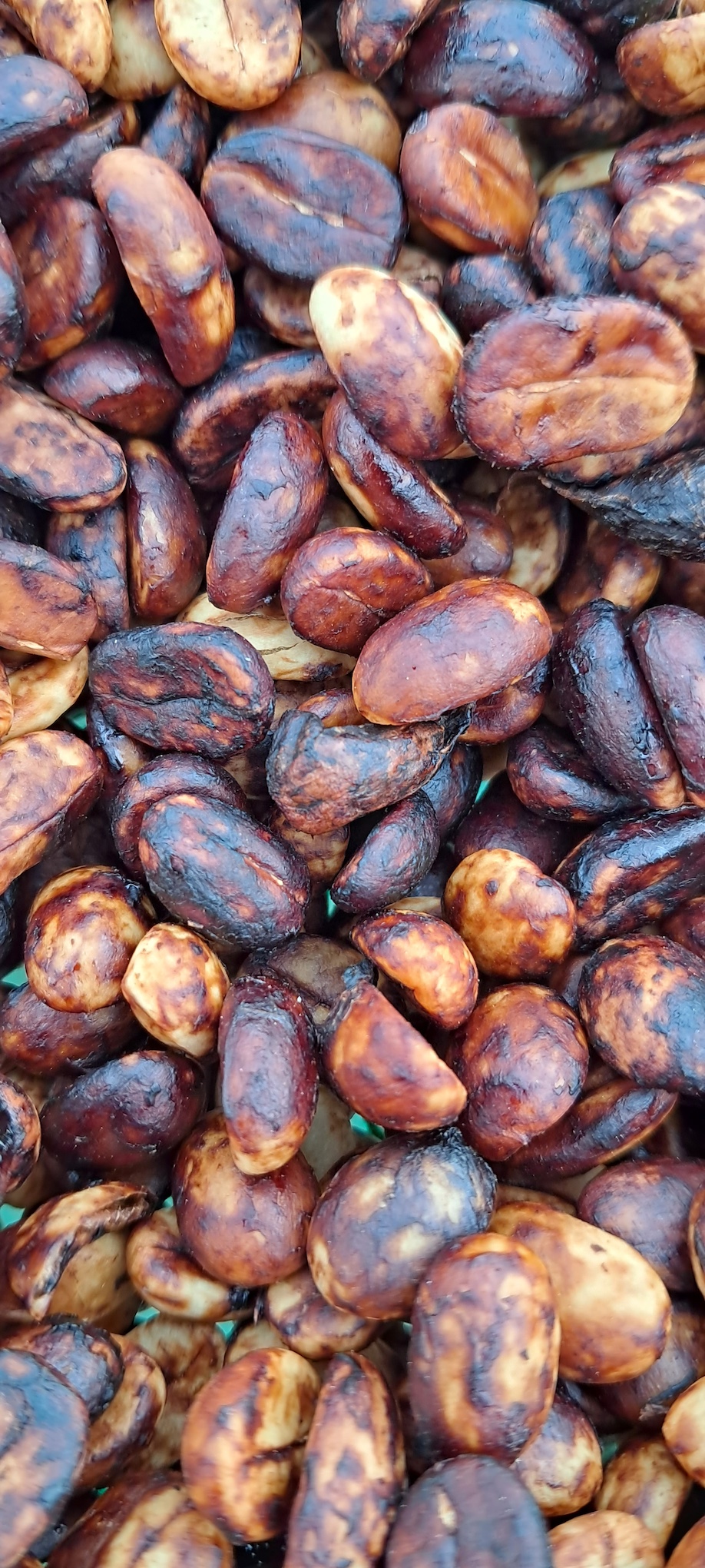 Black honey – Sự khác biệt về màu sắc