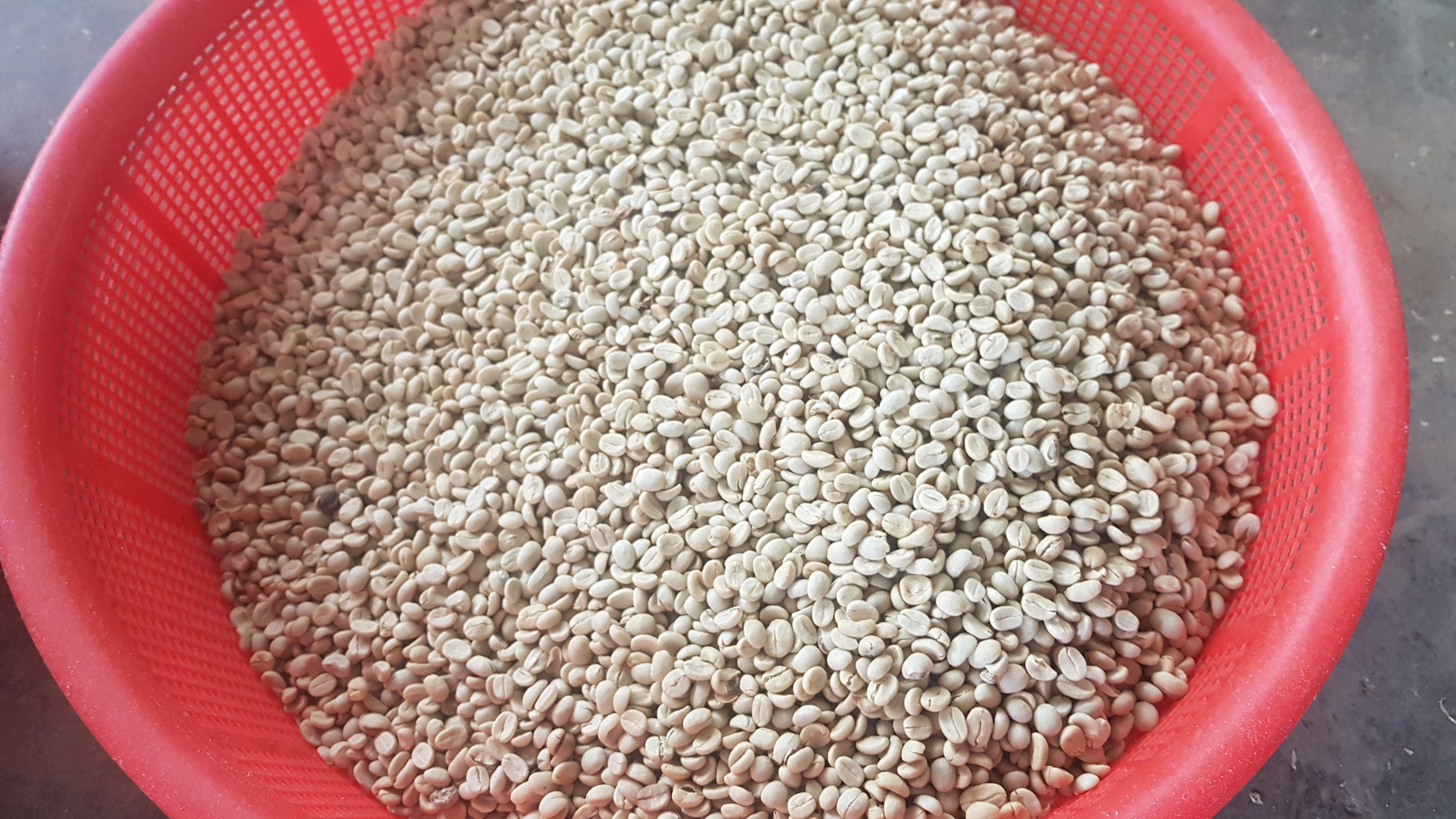 Carbonic washed – How does it taste?