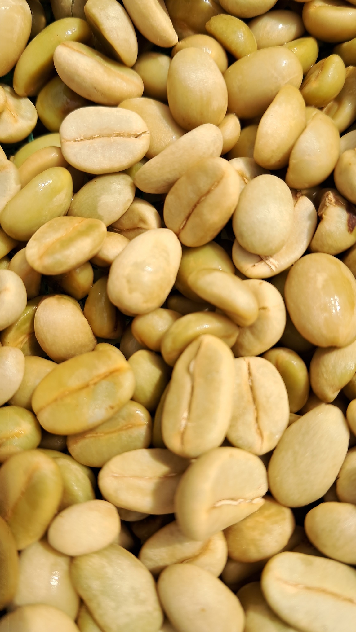 Double washed – Key benefits of double washed processing