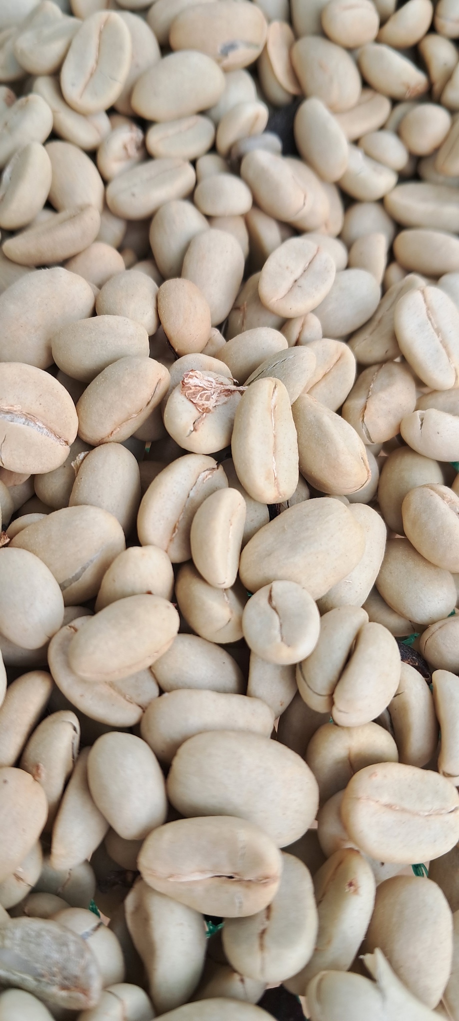 Double washed – Flavour profile