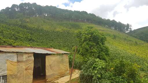 Farms