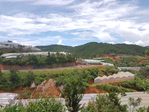 Farms