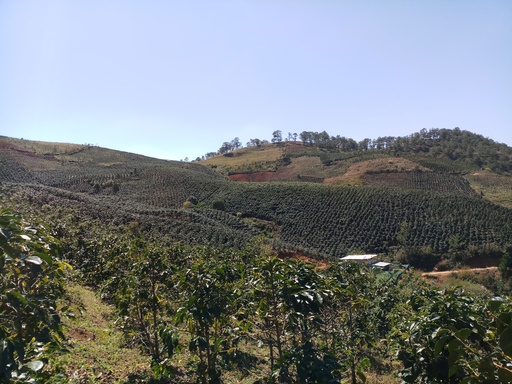 Farms