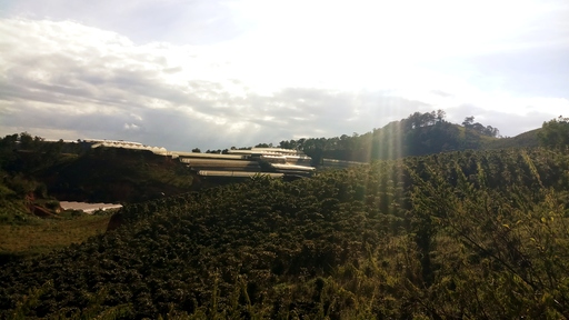 Farms