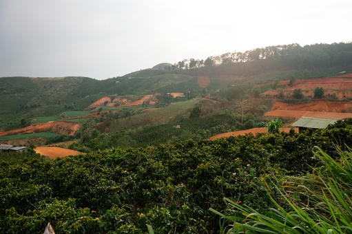 Farms