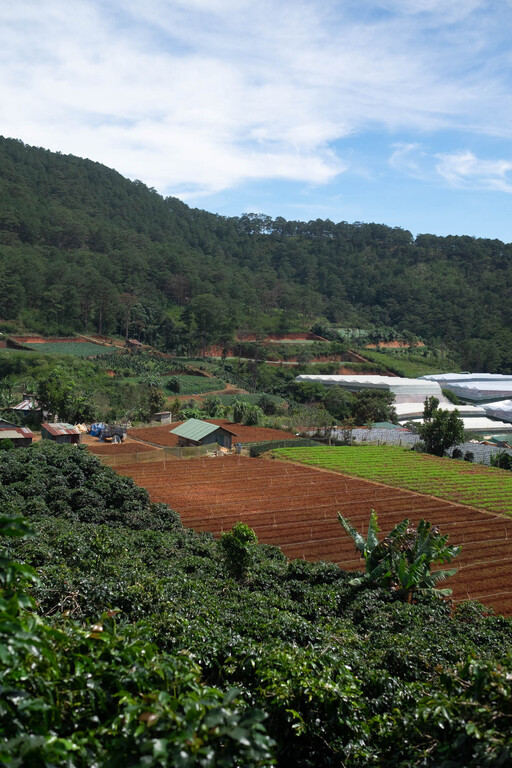 Farms