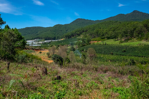 Farms