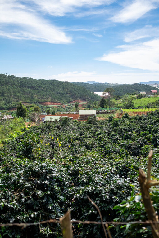 Farms