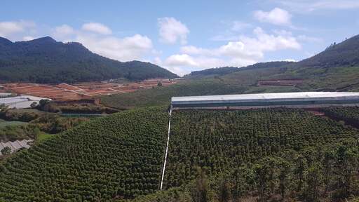 Farms