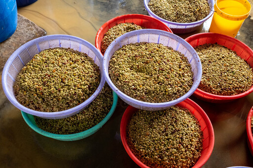 fermentation#scroll-content