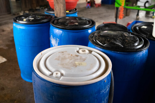 Fermentation