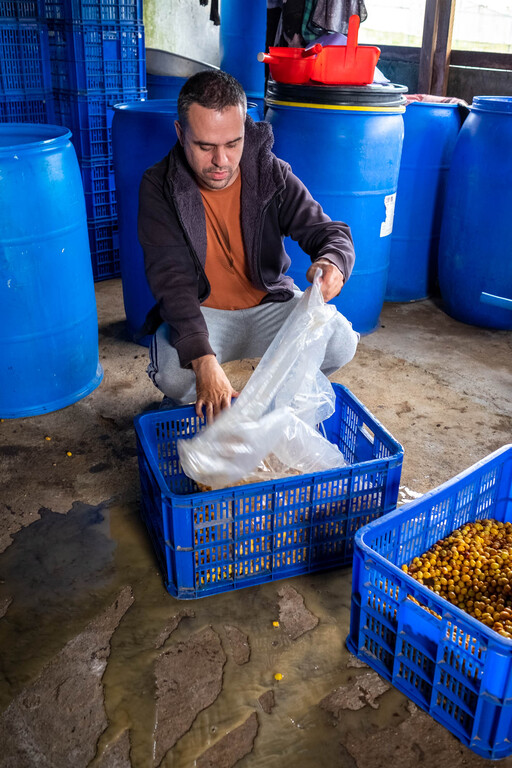 Fermentation