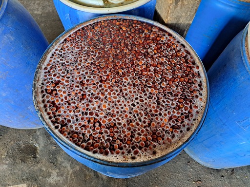 Fermentation