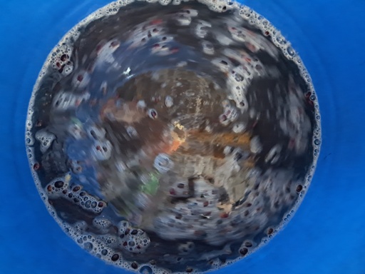 Fermentation