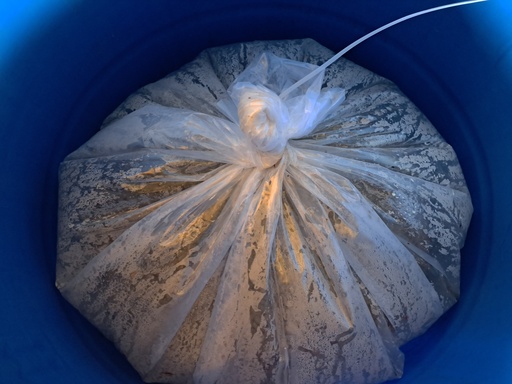 Fermentation
