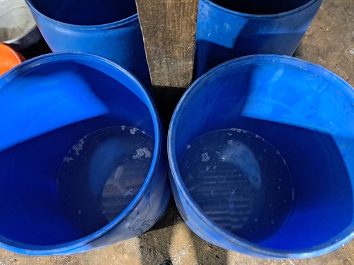 Fermentation