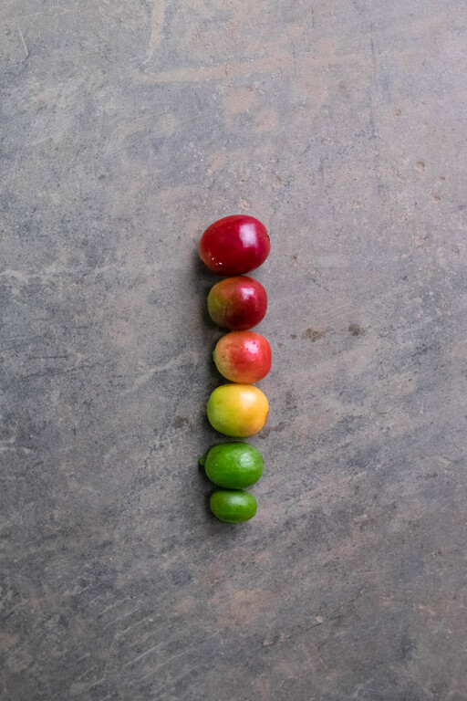 Harvesting