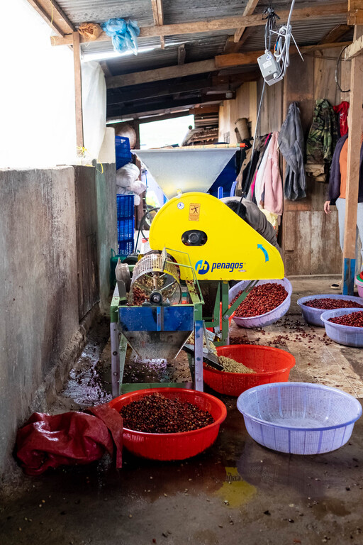 Pulping