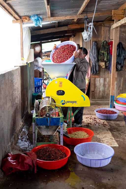 Pulping