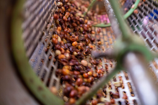 Pulping