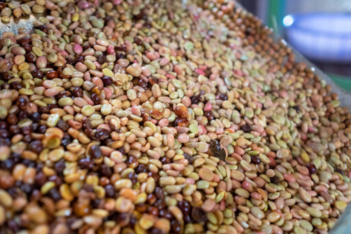 Pulping