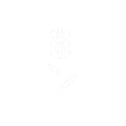 Lavender Co-ferment