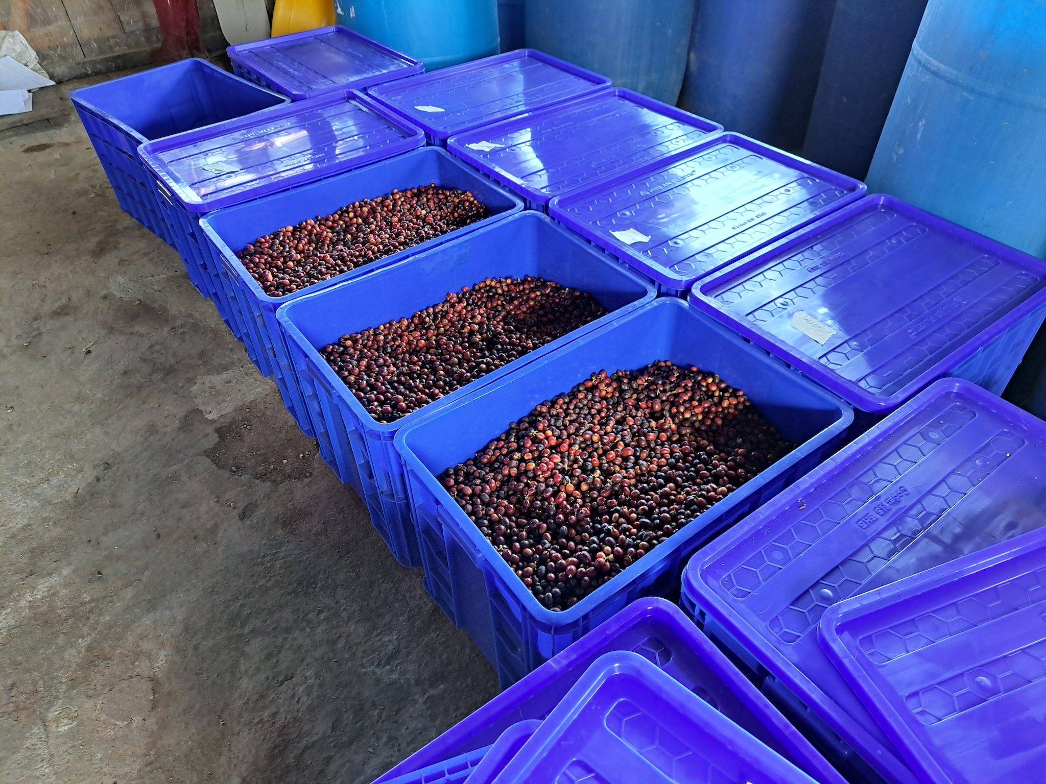 Supernatural – The open fermentation