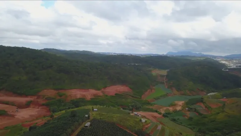 Zanya coffee eagle view
